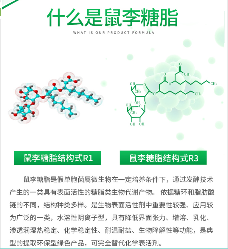 鼠李糖脂1.png